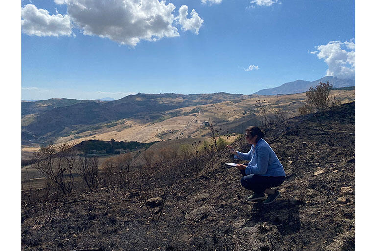 image of Lauren Pearson in the field