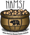 image of NAMSI full logo in color