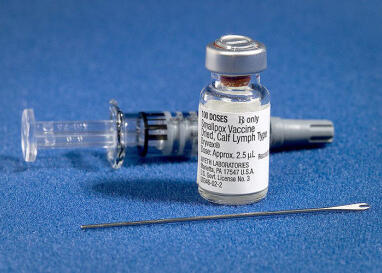 An image of a needle and a small vial containing the smallpox vaccine. 
