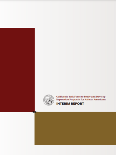 The cover of the full interim report